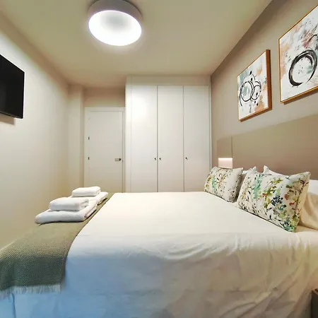 Apartman 1 Hab Catedral Iii, Parking, Centro Valladolid